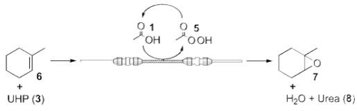 雙鍵氧化成環氧