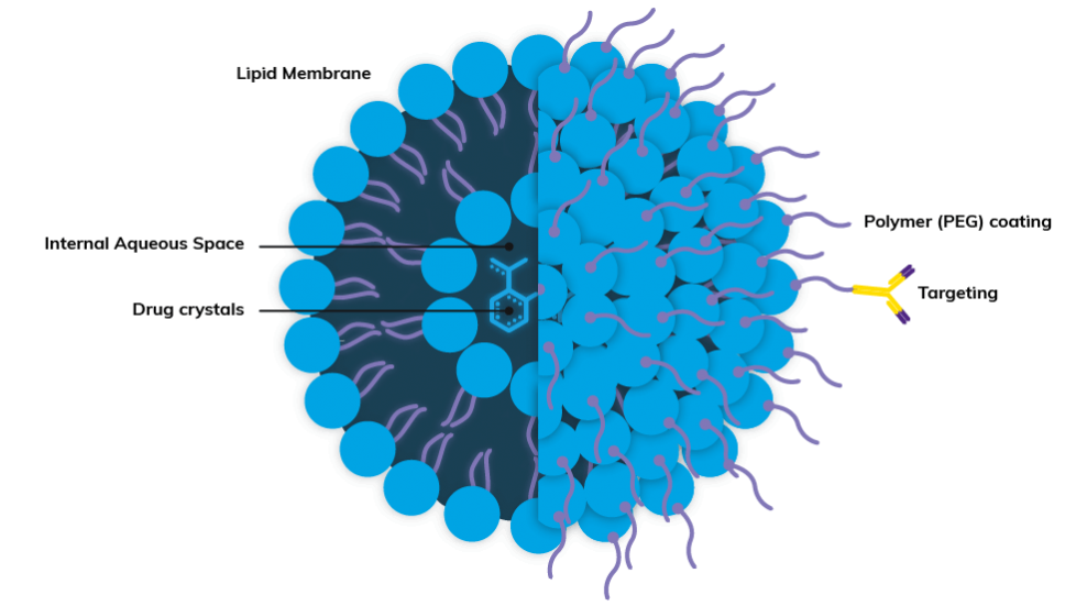 使用微流體流體動力學(xué)聚焦方法生成納米脂質(zhì)和脂質(zhì)體