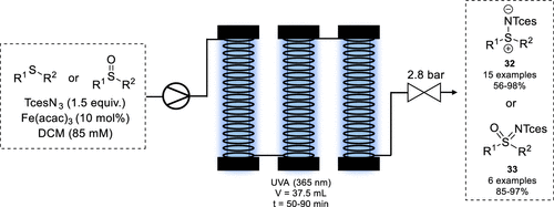 圖14. Photochemical Amination of Sulfides and Sulfoxides via Iron Nitrenoid 圖14. Photochemical Amination of Sulfides and Sulfoxides via Iron Nitrenoid