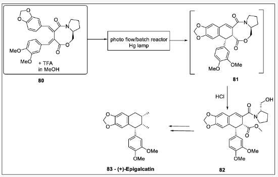 Scheme 24. (+)-Epigalcatin光催化制備 Scheme 24. (+)-Epigalcatin光催化制備
