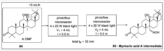 蠟果楊梅酸A中間體的合成 蠟果楊梅酸A中間體的合成