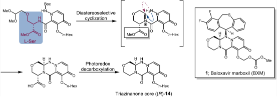 圖 1：Shionogi Pharma 的 BXM 方法概述