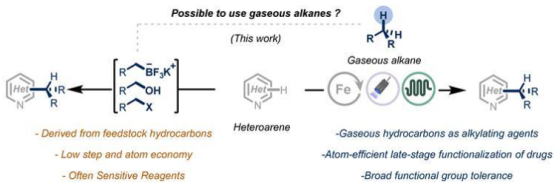 豐富的烷烴通過流動化學變成氣態烷化劑 豐富的烷烴通過流動化學變成氣態烷化劑