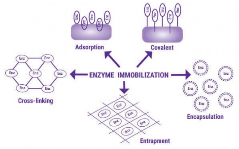 生物催化在連續流動中的興起