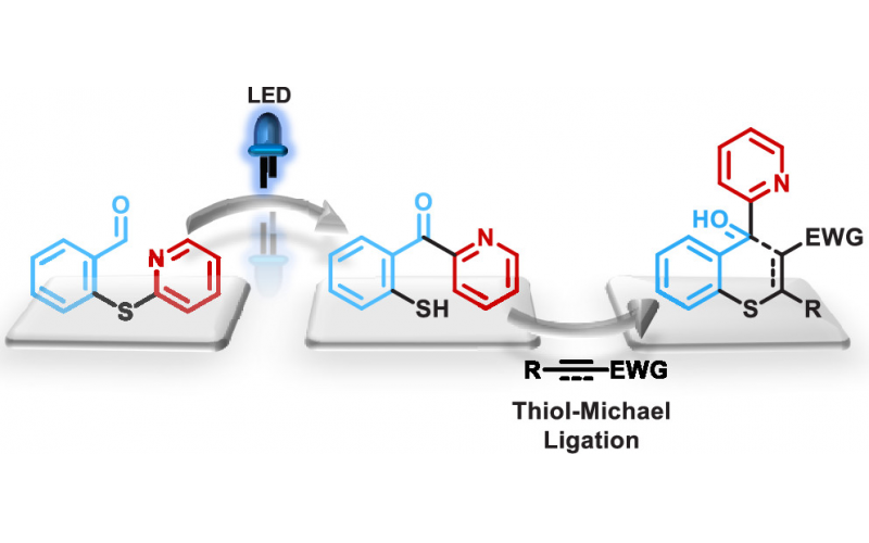 光催化自催化硫醇-烯烴炔烴加成反應(yīng)