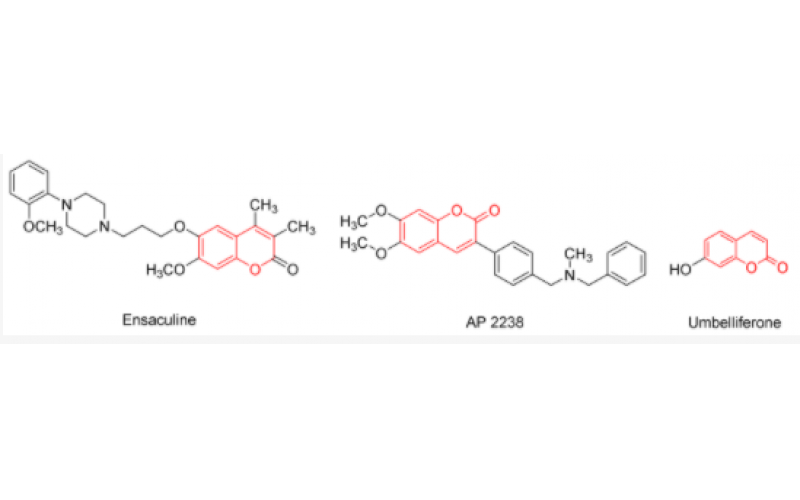 連續流動生物催化：通過嗜熱霉菌的脂肪酶 TL IM 合成香豆素羧酰胺衍生物
