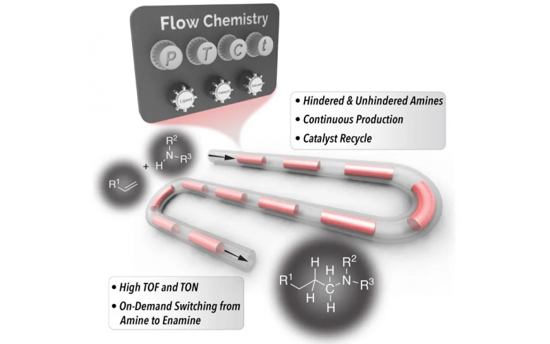 更便宜、更快速的連續生產胺類化合物的新方法——許多產品中使用的化學基礎材料