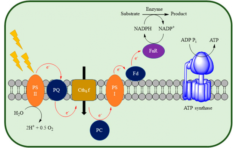 連續流微通道反應器維護及保養注意事項