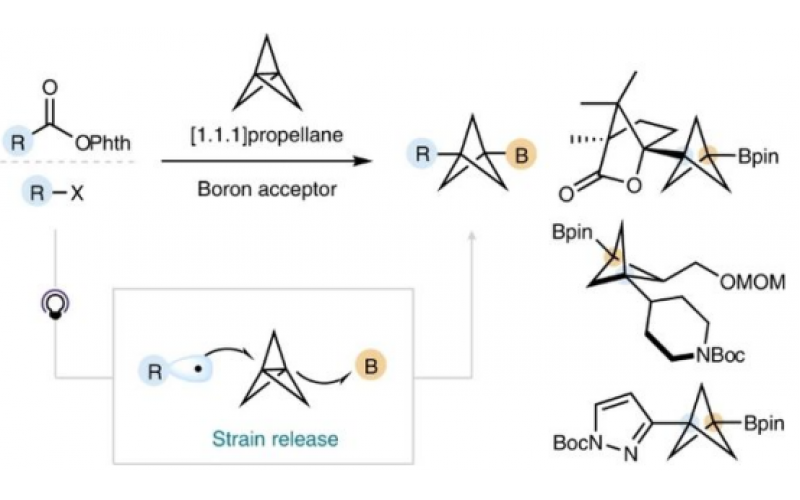 利用雙環[1.1.1]戊基自由基的sp2性質實現了[1.1.1]螺槳烷的雙官能團化反應