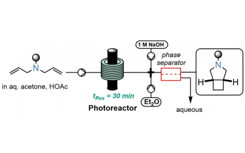 通過連續流工藝實現未活化烯烴的無金屬 [2+2] 光環加成反應