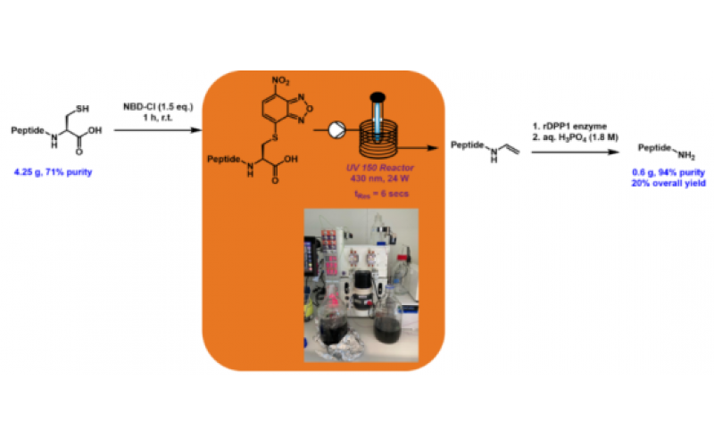 肽和蛋白質的光化學功能化